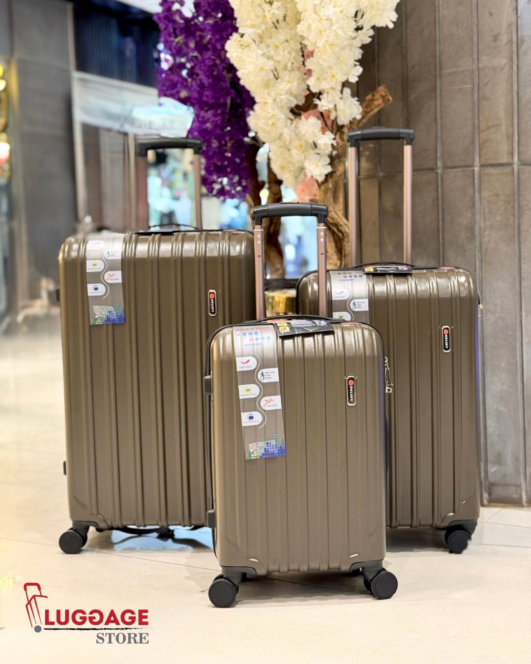 Delsey Luggage